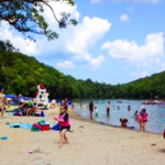 martin-beach families swimming